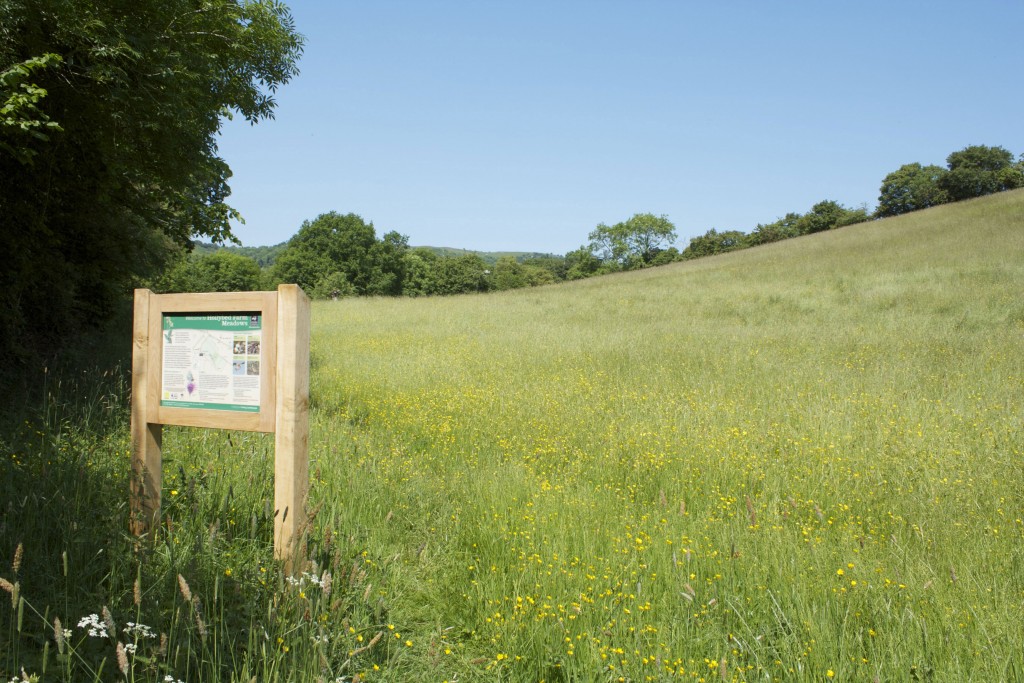 Hollybed Farm Meadow WWT Information Board