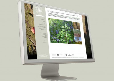 Bearwood Associates Website Development