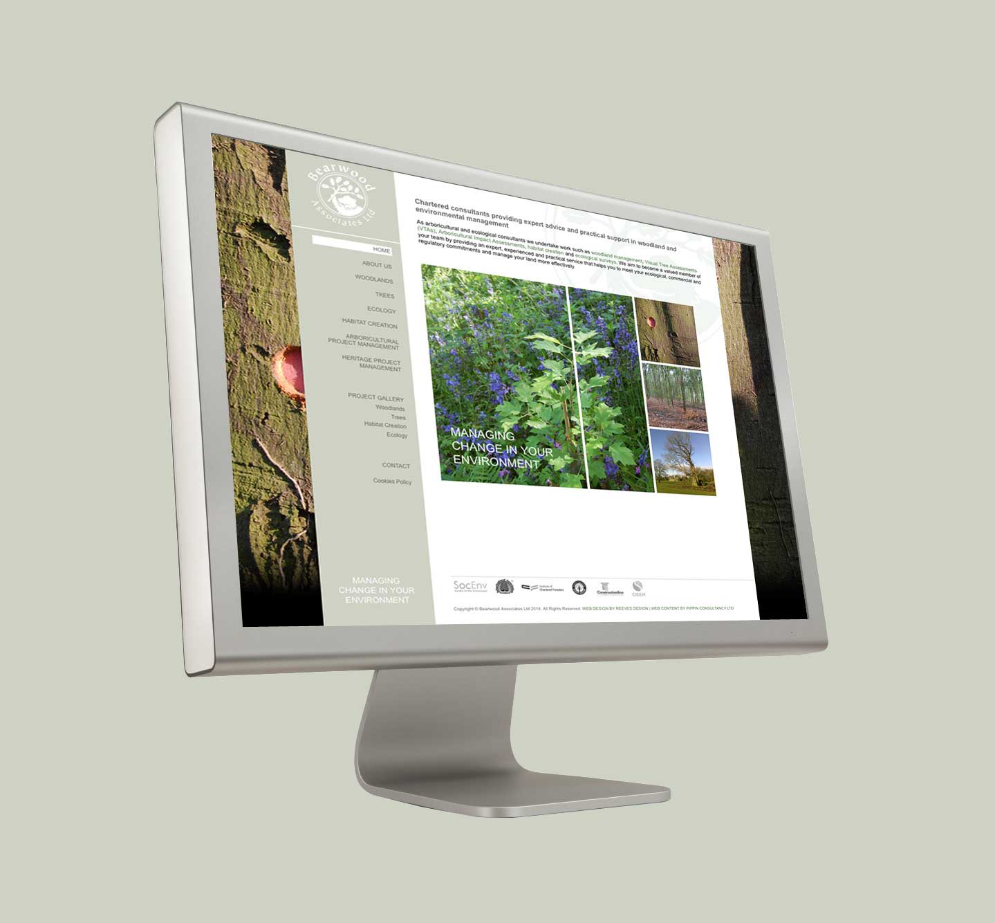 Bearwood Associates Website Development